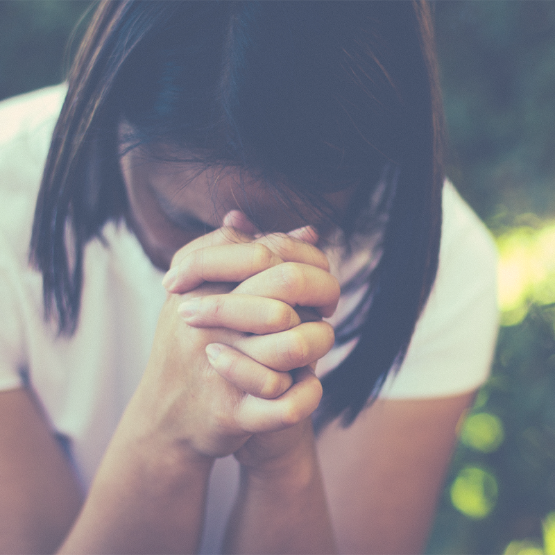 Mimicking Our Big Brother