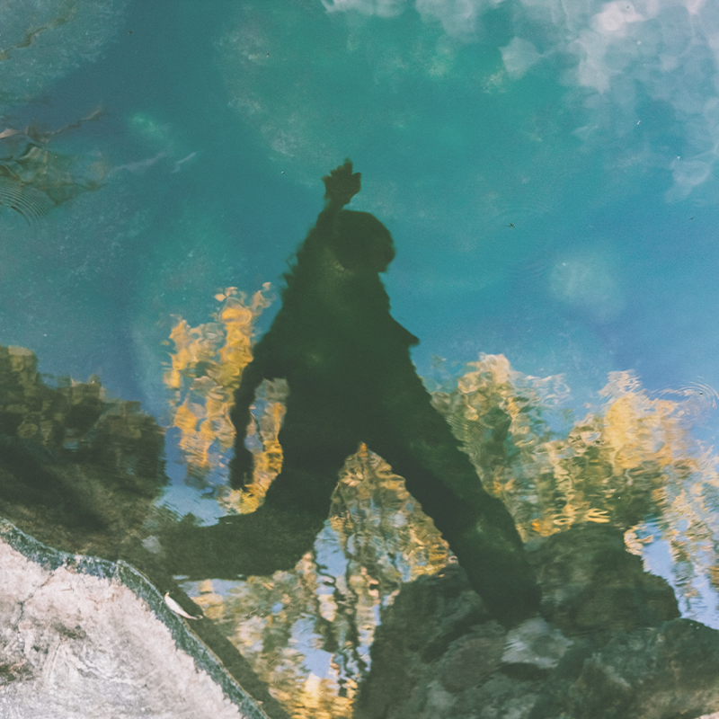 An Accurate Reflection