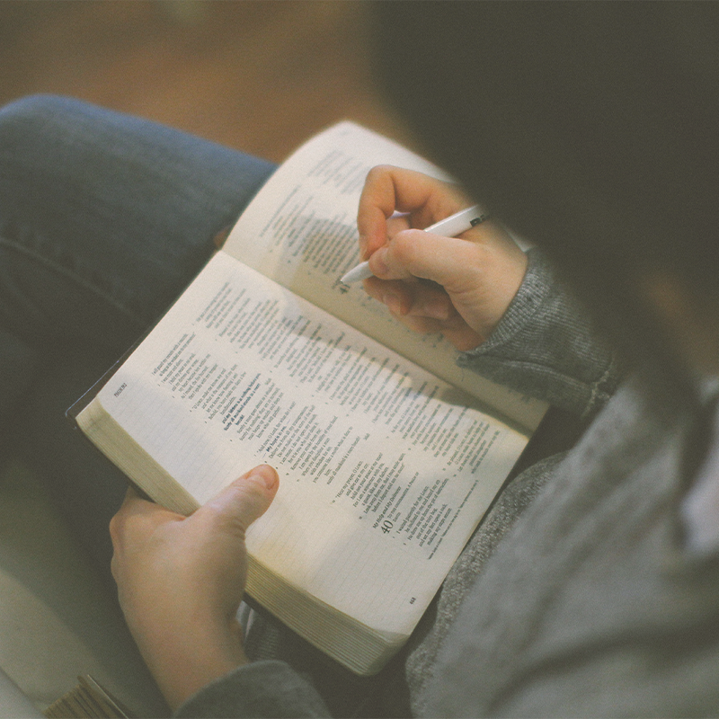 Success the Night Before