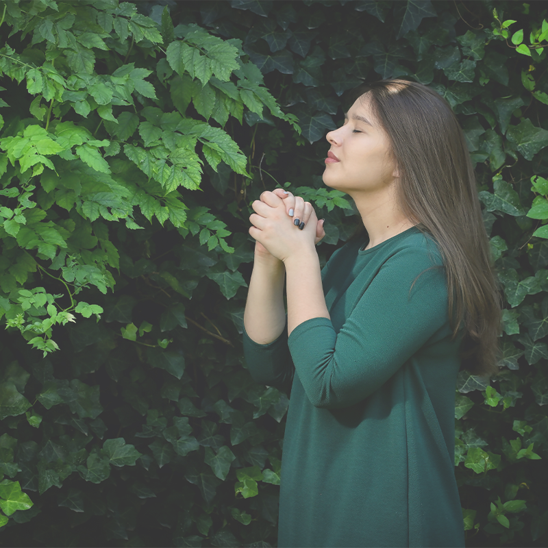 Two Responses to Jesus