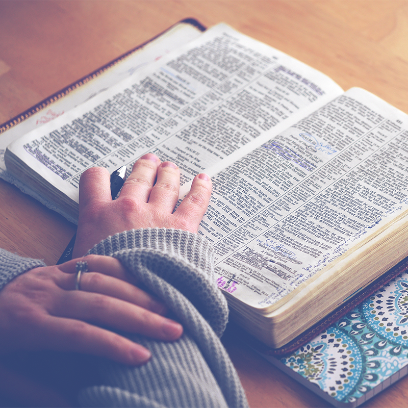 God's Will in God's Word