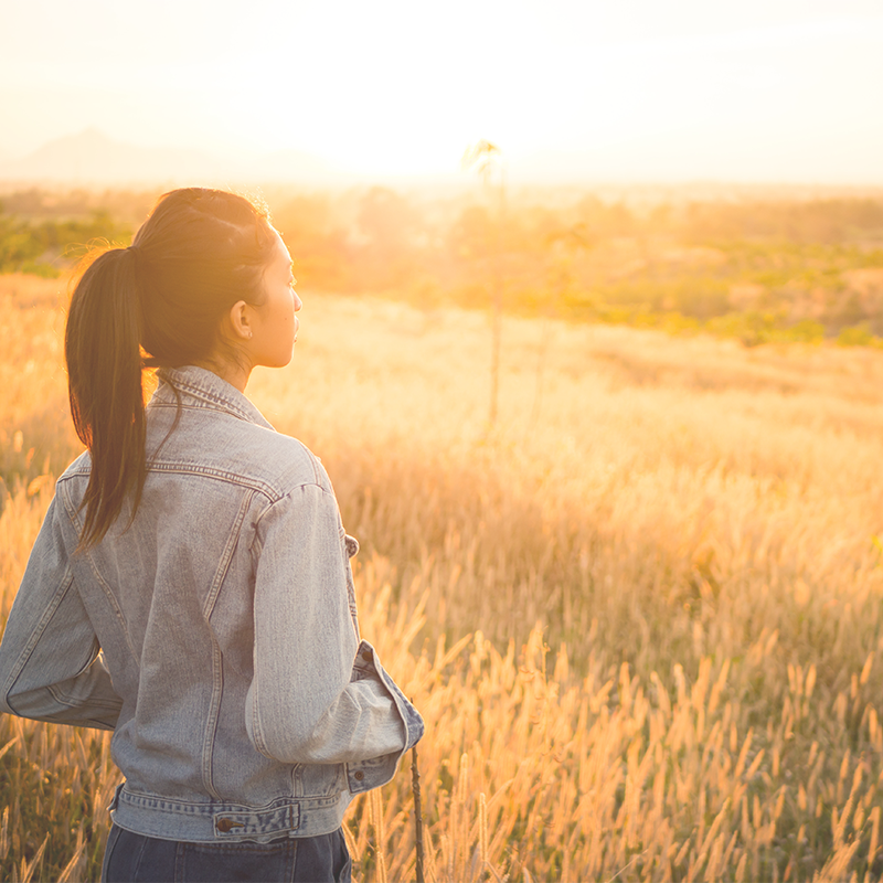 The Law of the Harvest