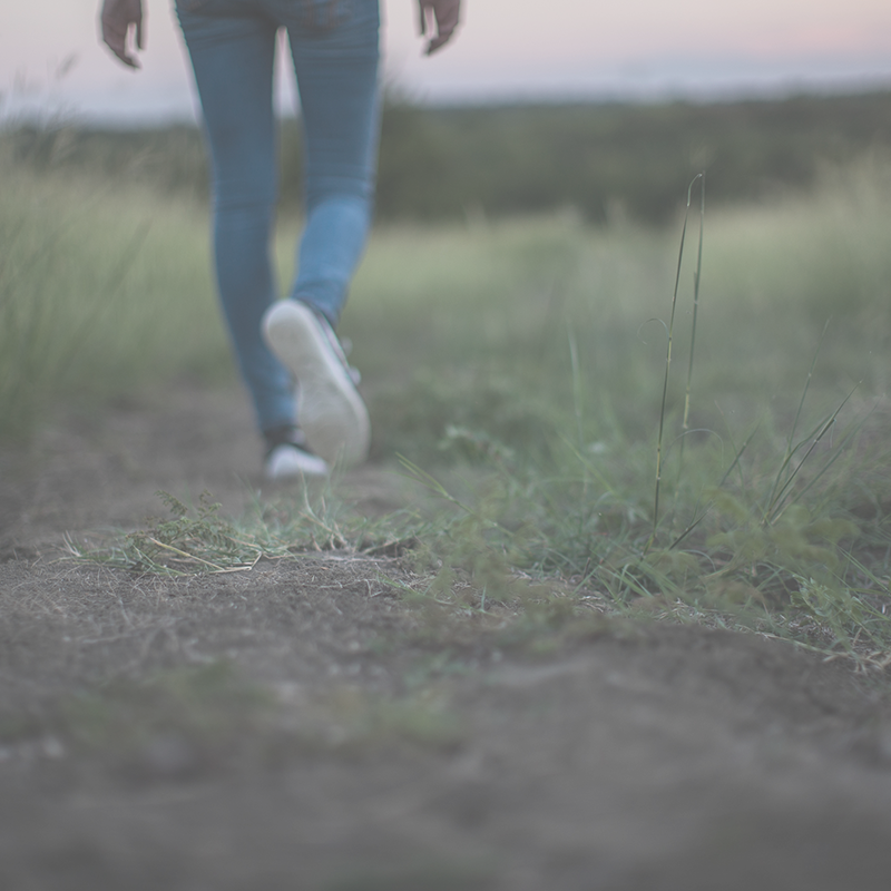 I Could Not Find Him