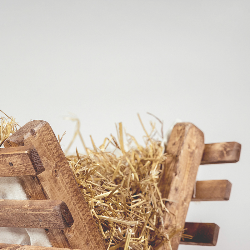 What Happened on the First Christmas?