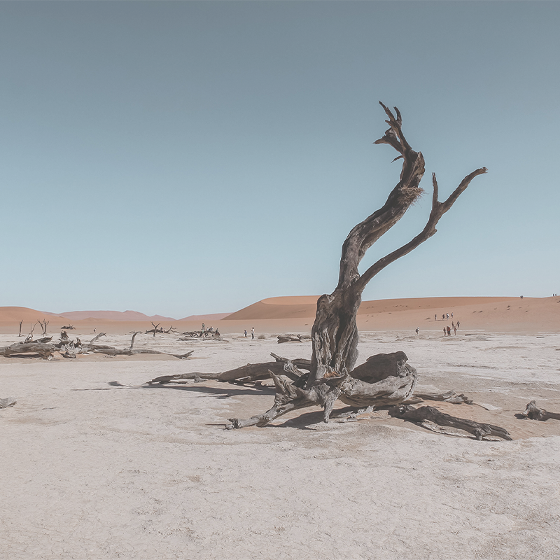 After Victory, the Desert