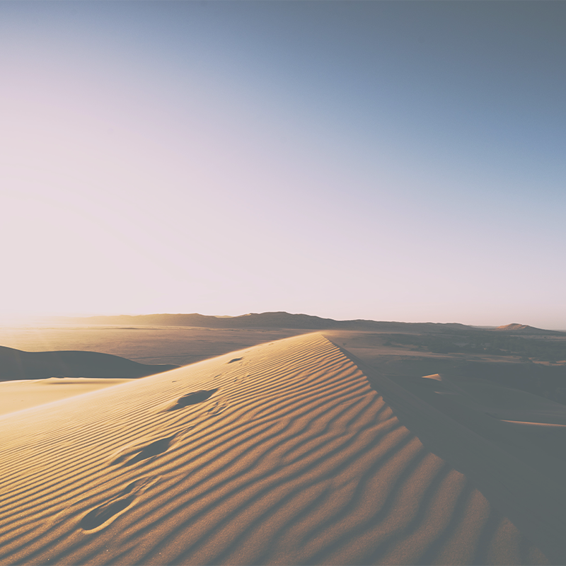 The Spirit Drove Him