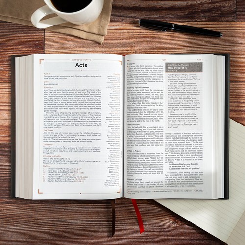 CSB Men's Daily Bible, Hardcover