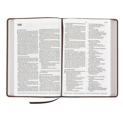 CSB Large Print Thinline Bible—Black/Brown