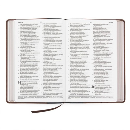 CSB Large Print Thinline Bible—Black/Brown