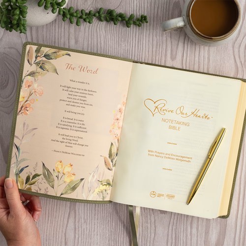 CSB Notetaking Bible Sage SuedeSoft LeatherTouch, ROH Edition