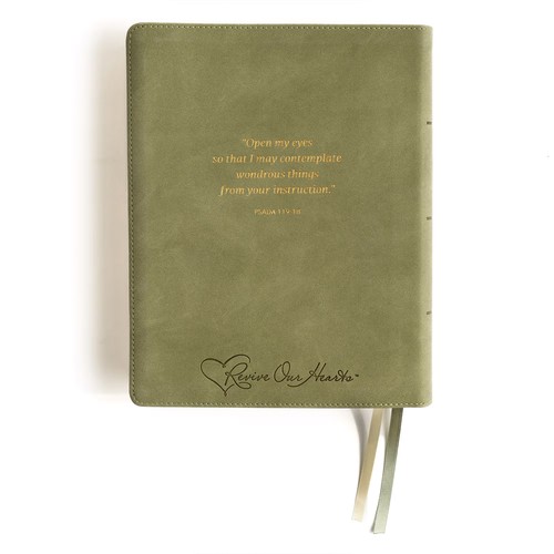 CSB Notetaking Bible Sage SuedeSoft LeatherTouch, ROH Edition