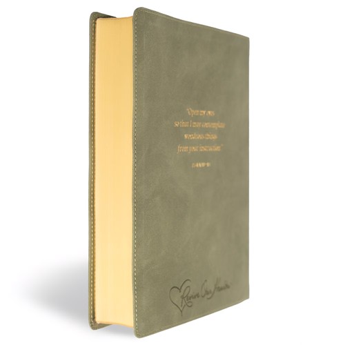 CSB Notetaking Bible Sage SuedeSoft LeatherTouch, ROH Edition