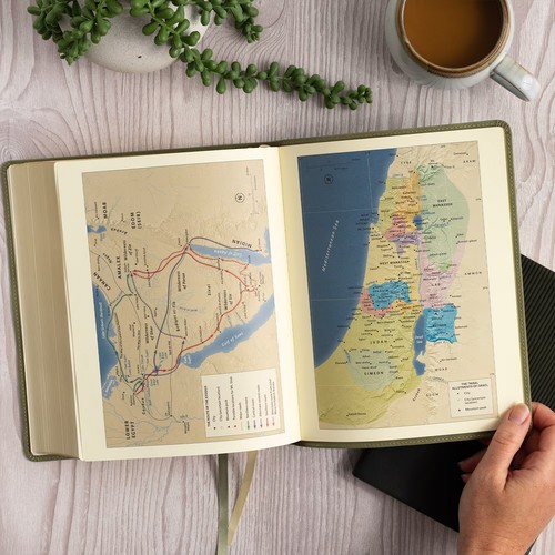 CSB Notetaking Bible Sage SuedeSoft LeatherTouch, ROH Edition