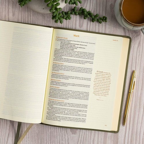 CSB Notetaking Bible Sage SuedeSoft LeatherTouch, ROH Edition