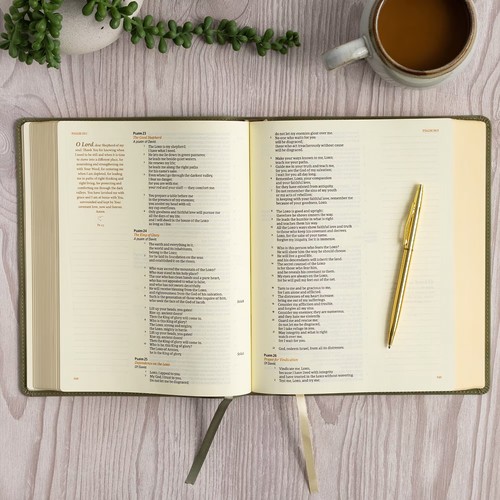 CSB Notetaking Bible Sage SuedeSoft LeatherTouch, ROH Edition