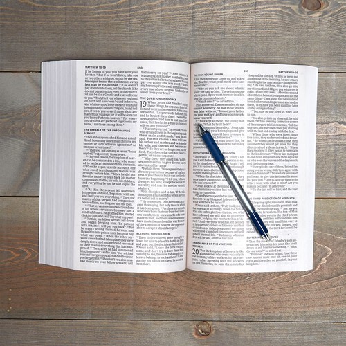 CSB Outreach Bible: Faithful and True