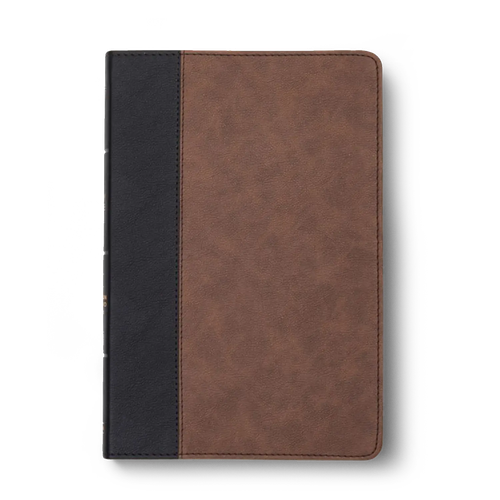 CSB Large Print Thinline Bible—Black/Brown