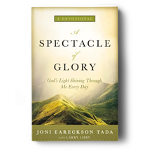 A Spectacle of Glory
