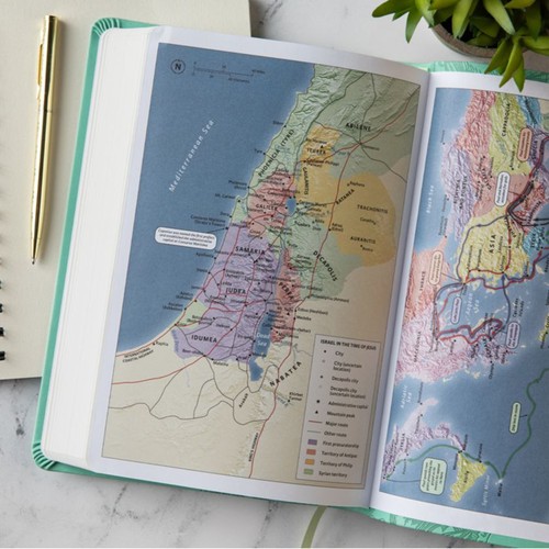 CSB Large Print Thinline Bible—Light Teal