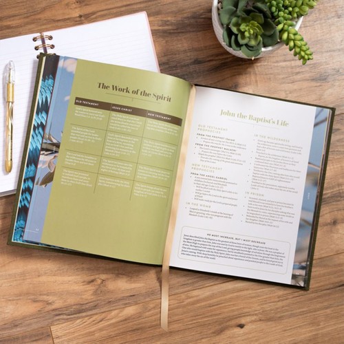 The New Testament Handbook