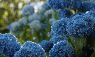 An Open Invitation to the Thirsty Soul image