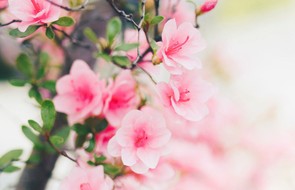 Leaders Know: Clarity Is Kindness image