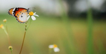 Choosing Forgiveness image