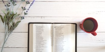 How to Inspire a Love for the Bible image