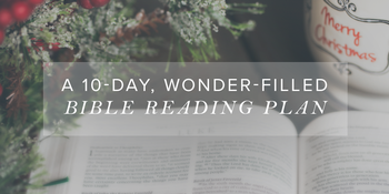A 10-Day, Wonder-Filled Bible Reading Plan image