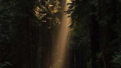 Hope & Encouragement