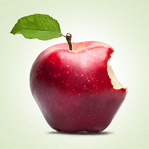 Lies Family of Books